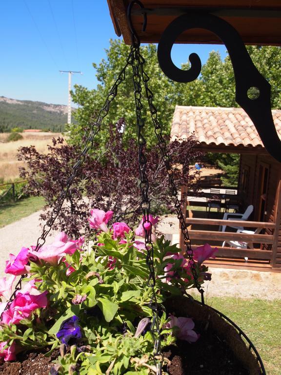 Fuente Del Arca Apartman Cañamares Kültér fotó
